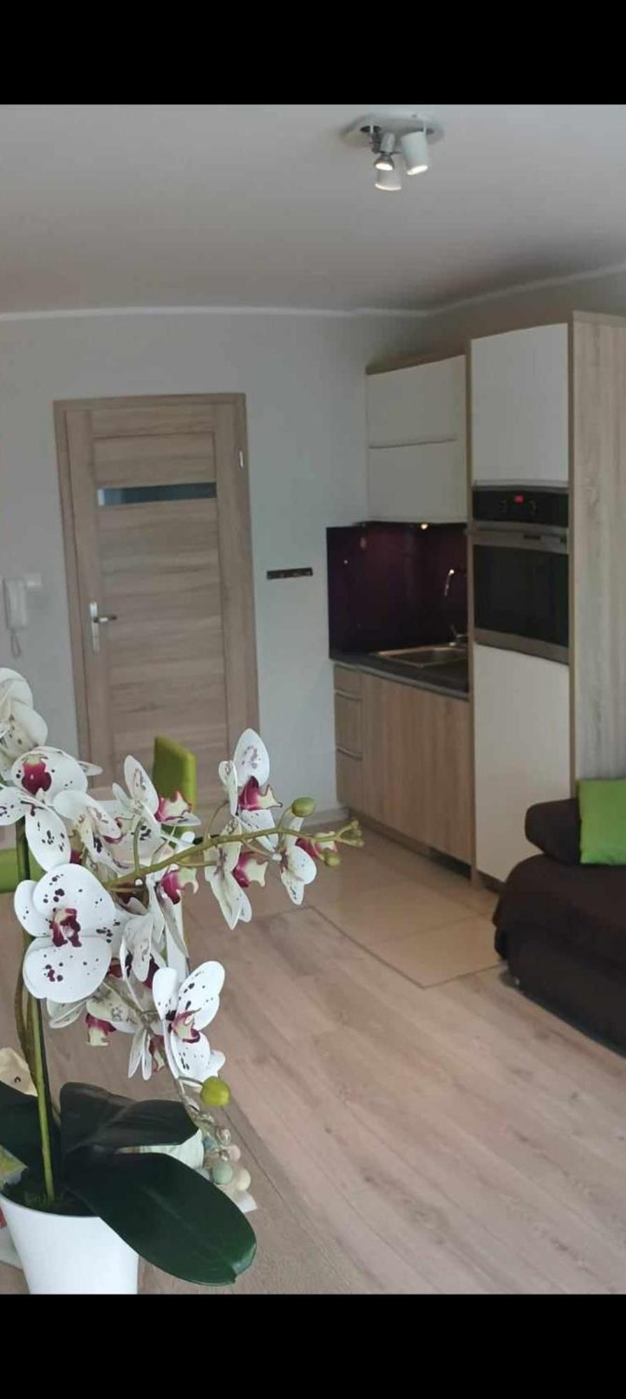 Apartament Zielona Wydma Leba Ngoại thất bức ảnh